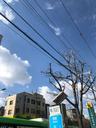 [강남,강서지역 한정]온라인편의점 나우픽 2만원 쿠폰 — 4.5점을 준 리뷰어가 2019년 3월 올린 사용 사진