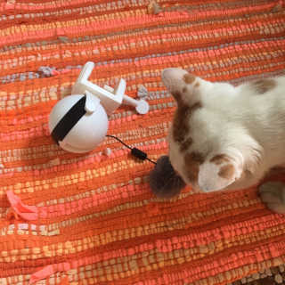 ㄴ모오러님이 올린 리뷰 사진 1