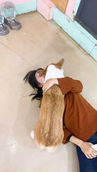 아두님이 올린 리뷰 사진 1