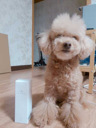 작지님이 올린 리뷰 사진 3