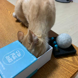 수경이야님이 올린 리뷰 사진 4