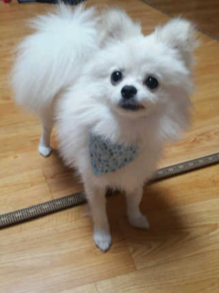 InsuKim님이 올린 리뷰 사진 3