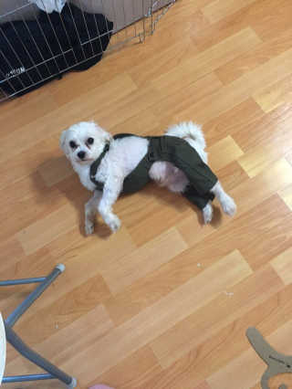 7hwoo님이 올린 리뷰 사진 3