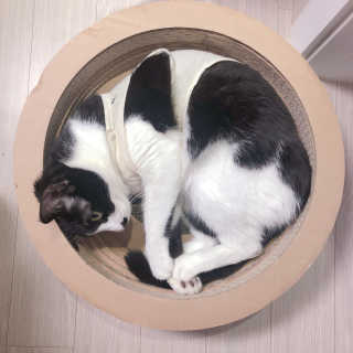밍미이님이 올린 리뷰 사진 1