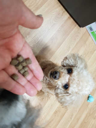 홍소영님이 올린 리뷰 사진 3