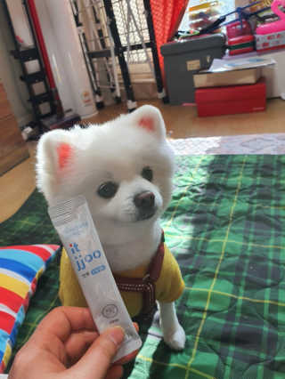 겸둥이연우맘님이 올린 리뷰 사진 2