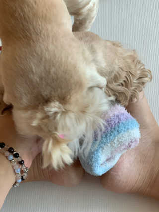 케라셀 풋크림 케라셀 인텐시브 풋 리페어 — 2.5점을 준 리뷰어가 2019년 10월 올린 사용 사진