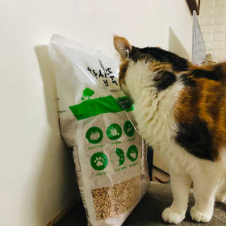 [펫토리아] BEST 고양이두부모래 6L 한삽뚝딱 — 5점을 준 리뷰어가 2019년 1월 올린 사용 사진