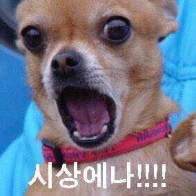 전은정님이 올린 리뷰 사진 1