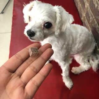 민지님이 올린 리뷰 사진 3