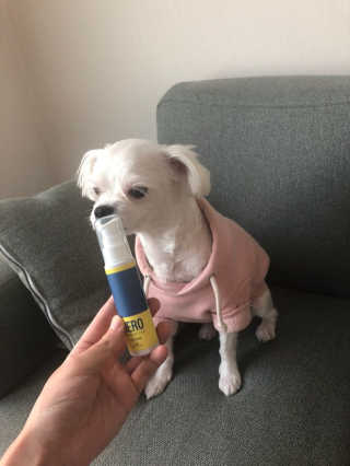 익쿠쨩님이 올린 리뷰 사진 3