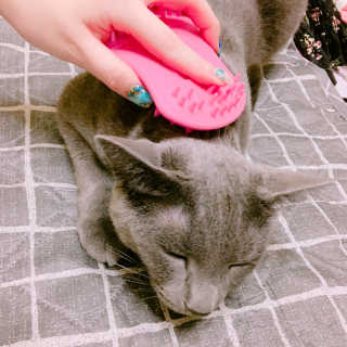 율집사님이 올린 리뷰 사진 1
