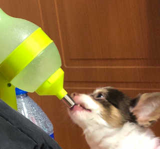 아따아따단비님이 올린 리뷰 사진 1