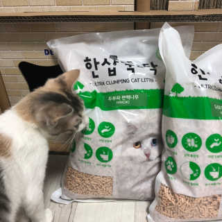 찌응이님이 올린 리뷰 사진 3
