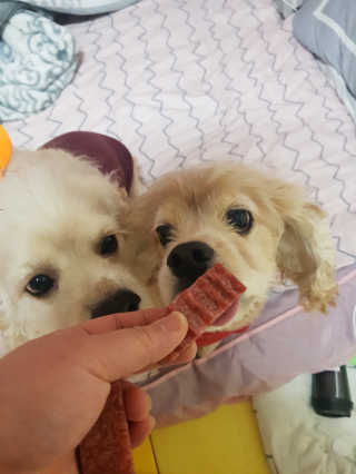 조소민님이 올린 리뷰 사진 3