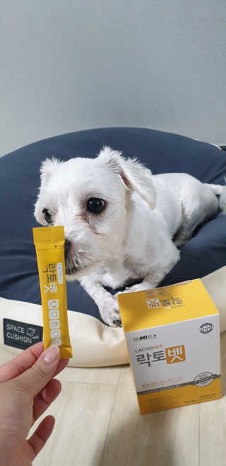 유산균하우스 [프로바이오닉]락토벳 — 5점을 준 리뷰어가 2019년 8월 올린 사용 사진