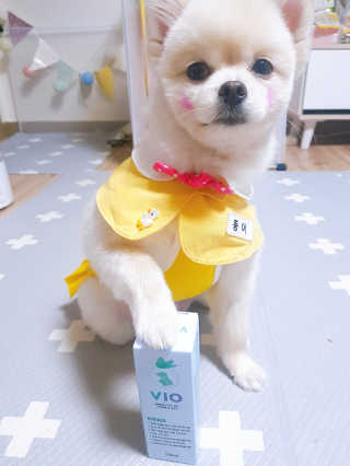 뚱이땅콩맘님이 올린 리뷰 사진 2