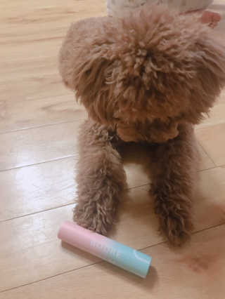 토끼줌마님이 올린 리뷰 사진 2