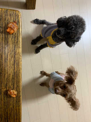 dddd님이 올린 리뷰 사진 2