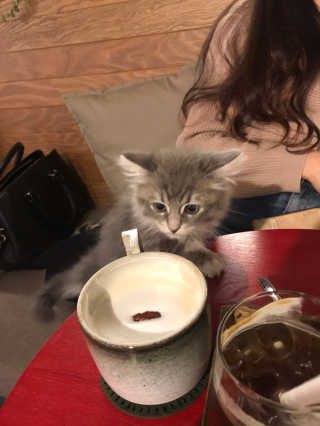 유리님이 올린 리뷰 사진 2