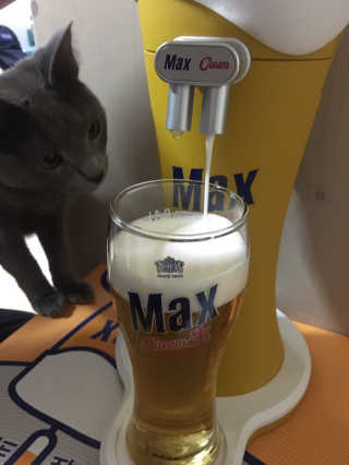 장진아님이 올린 리뷰 사진 4