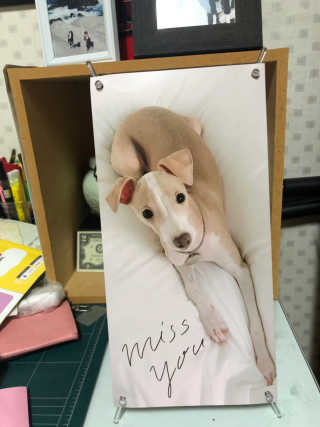 잇진님이 올린 리뷰 사진 3