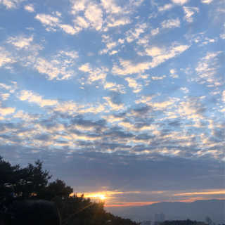 보타메디 마이아이엠 생리대 — 5점을 준 리뷰어가 2019년 1월 올린 사용 사진