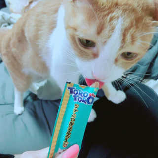 Honeyshop님이 올린 리뷰 사진 4