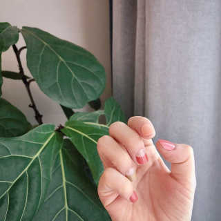 바미누나님이 올린 리뷰 사진 2