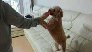 iamdodo님이 올린 리뷰 사진 3