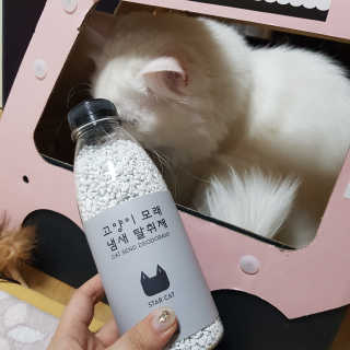 Hyojician님이 올린 리뷰 사진 4