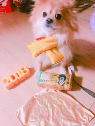 정민혜님이 올린 리뷰 사진 2