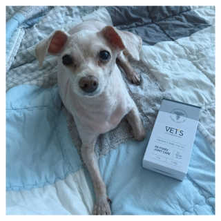 도비님이 올린 리뷰 사진 1