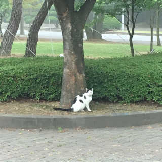 안혜정님이 올린 리뷰 사진 1