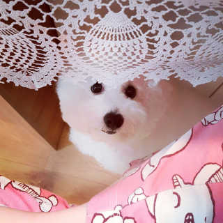 [빙그레] 에버그로 생유산균 1봉（10포입）+펫밀크2팩 — 4점을 준 리뷰어가 2019년 3월 올린 사용 사진