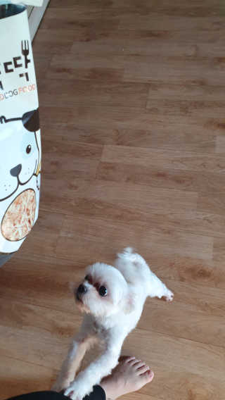 뫃미님이 올린 리뷰 사진 3