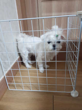 이다솜님이 올린 리뷰 사진 3