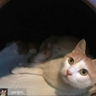 기먄맘님이 올린 리뷰 사진 2