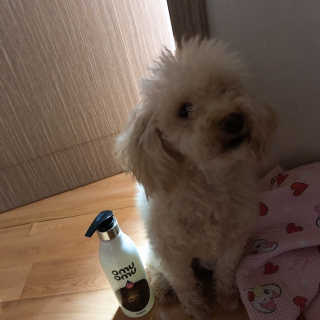 은영님이 올린 리뷰 사진 2