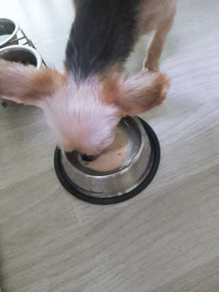 HsM2님이 올린 리뷰 사진 4