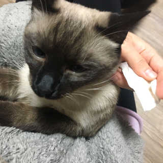 망지님이 올린 리뷰 사진 3
