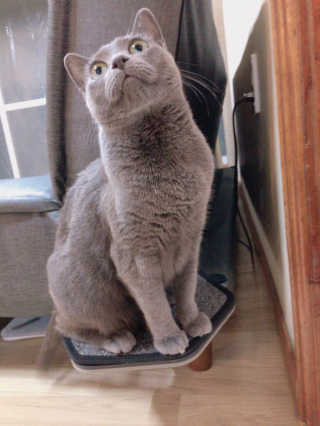 율집사님이 올린 리뷰 사진 1