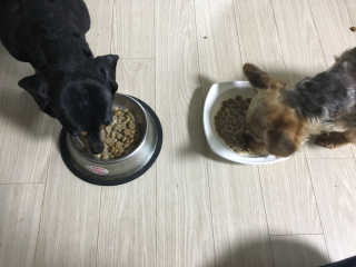 민블리님이 올린 리뷰 사진 2