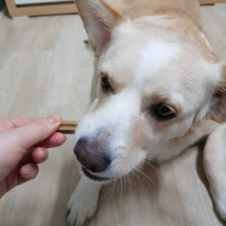 엘리님이 올린 리뷰 사진 2