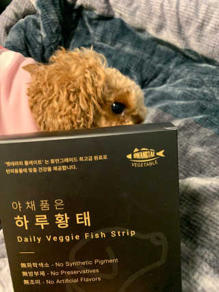펫테라피 플레이트 야채품은 하루황태 — 3점을 준 리뷰어가 2020년 1월 올린 사용 사진