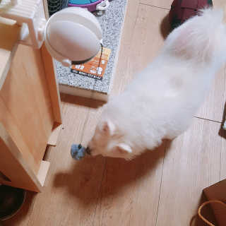 떠뇽님이 올린 리뷰 사진 3