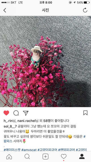 솔구님이 올린 리뷰 사진 1