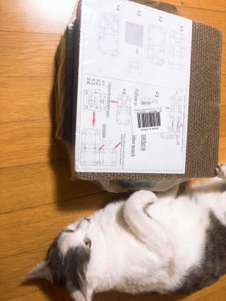 yyyy님이 올린 리뷰 사진 3