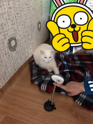 freeofsoul93님이 올린 리뷰 사진 2
