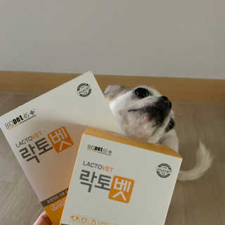빔글뱀글님이 올린 리뷰 사진 2